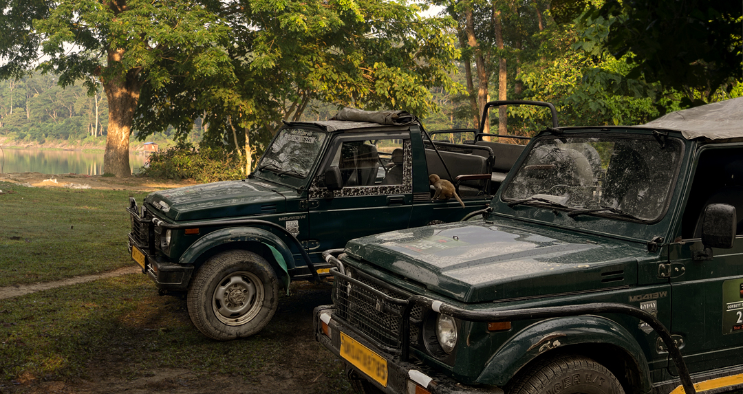 Ranthambore Gypsy safari